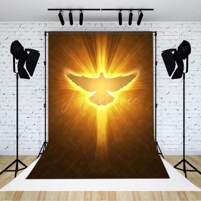 Aperturee - Aperturee Pigeon In Light Heaven Scene Photography Backdrop