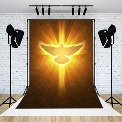 Aperturee - Aperturee Pigeon In Light Heaven Scene Photography Backdrop