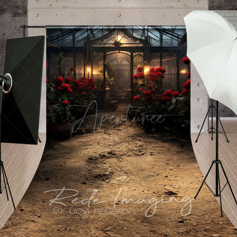 Aperturee - Aperturee Red Rose Dark Lovely Greenhouse Window Sweep Backdrop