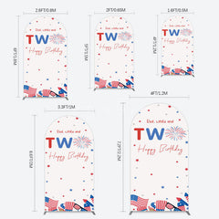 Aperturee - Aperturee Red White Two Happy Birthday Holiday Arch Backdrop