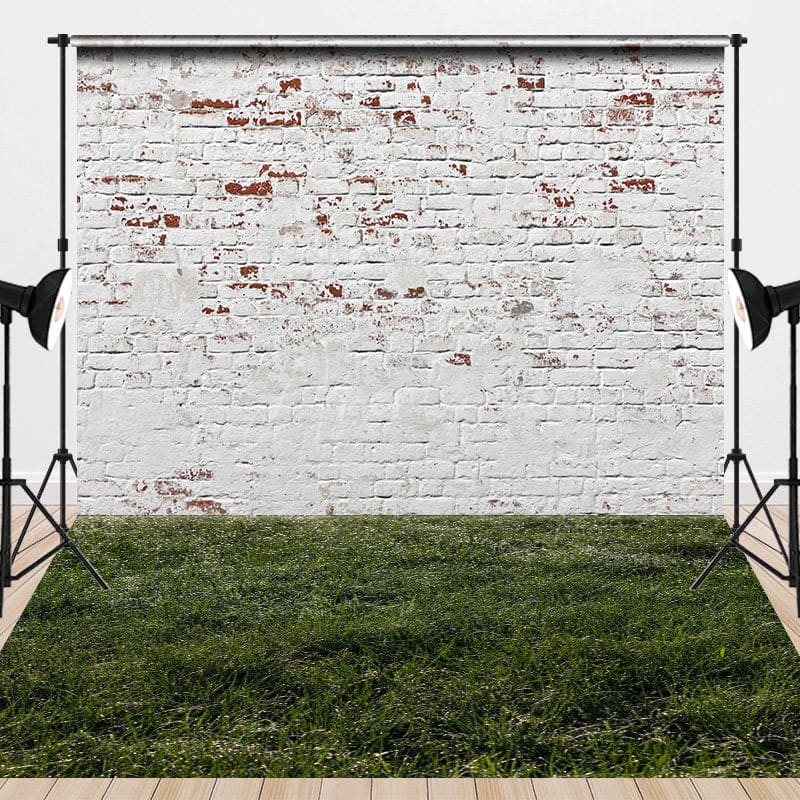 Aperturee - Aperturee Retro Bricks Wall Grass Floor Combo Set Backdrop