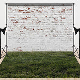 Aperturee - Aperturee Retro Bricks Wall Grass Floor Combo Set Backdrop