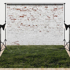 Aperturee - Aperturee Retro Bricks Wall Grass Floor Combo Set Backdrop