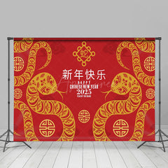 Aperturee - Aperturee Simple Chinese Knot Zodiac Snake New Year Backdrop