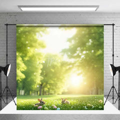 Aperturee - Aperturee Spring Forest Room Set Backdrop Sunny Green Grass Easter Bunny Photography Background Nature Scene Photo Decor