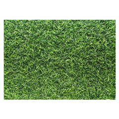 Aperturee - Aperturee Spring Natural Green Lawn Grass Rubber Floor Mat