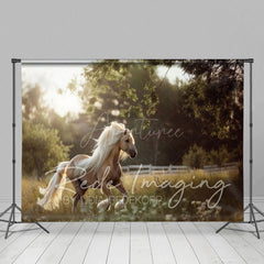 Aperturee - Aperturee Summer Sunlight Grassland Sunny Pony Photo Backdrop