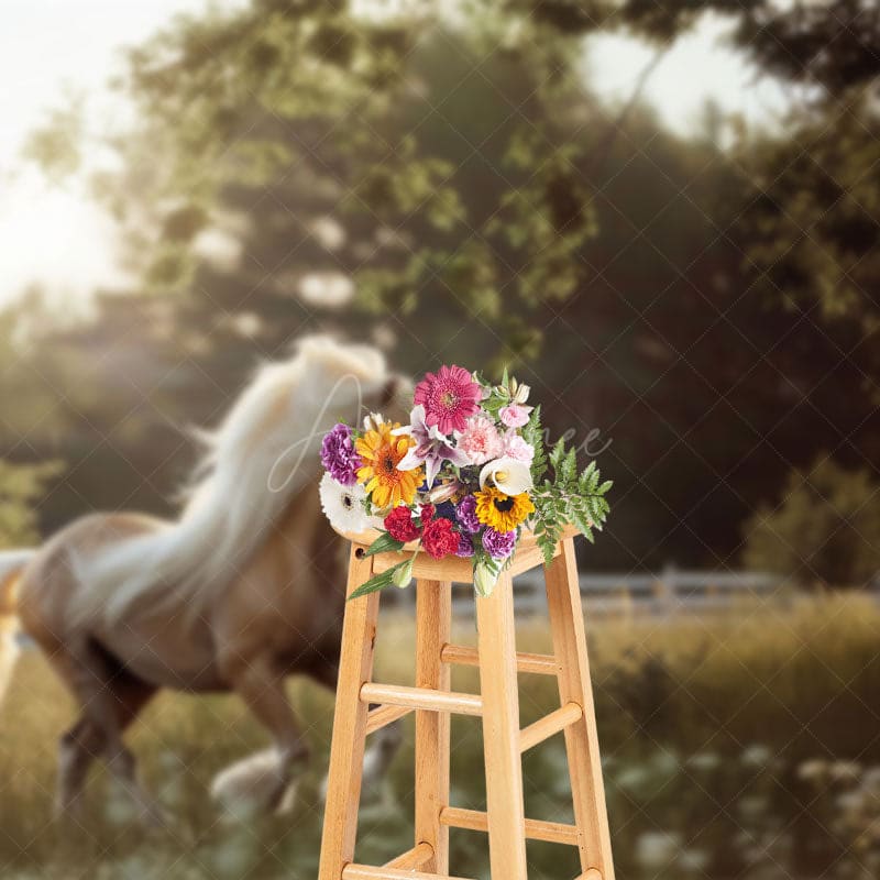 Aperturee - Aperturee Summer Sunlight Grassland Sunny Pony Photo Backdrop