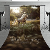 Aperturee - Aperturee Summer Sunlight Grassland Sunny Pony Sweep Backdrop