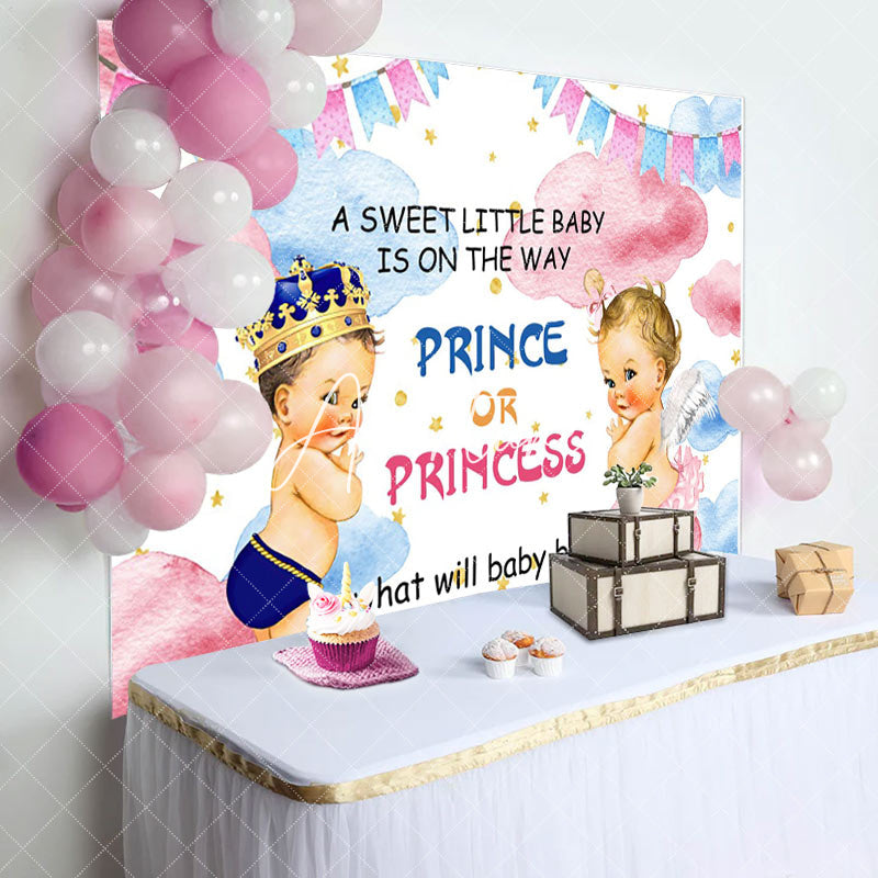 Aperturee - Aperturee Sweet Baby Pink Blue Cloud Gender Reveal Backdrop