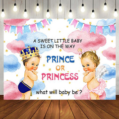Aperturee - Aperturee Sweet Baby Pink Blue Cloud Gender Reveal Backdrop