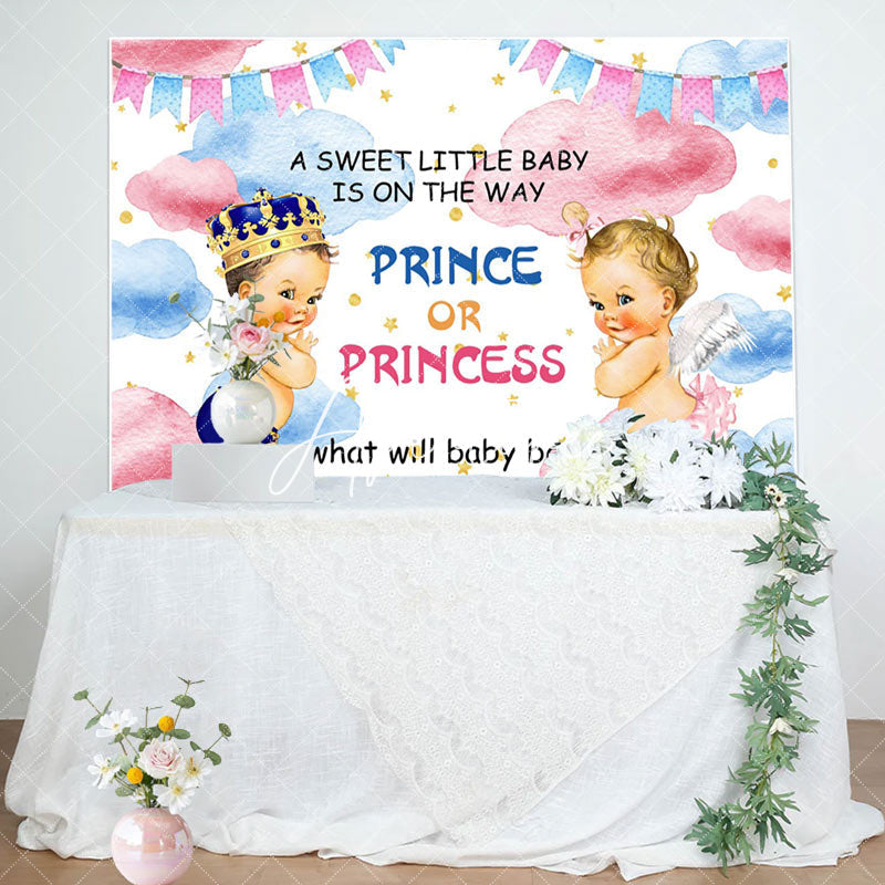 Aperturee - Aperturee Sweet Baby Pink Blue Cloud Gender Reveal Backdrop