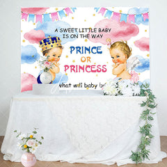 Aperturee - Aperturee Sweet Baby Pink Blue Cloud Gender Reveal Backdrop