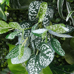 Aperturee - Aperturee Tribal Greenery Artificial Flower Wall For Wedding