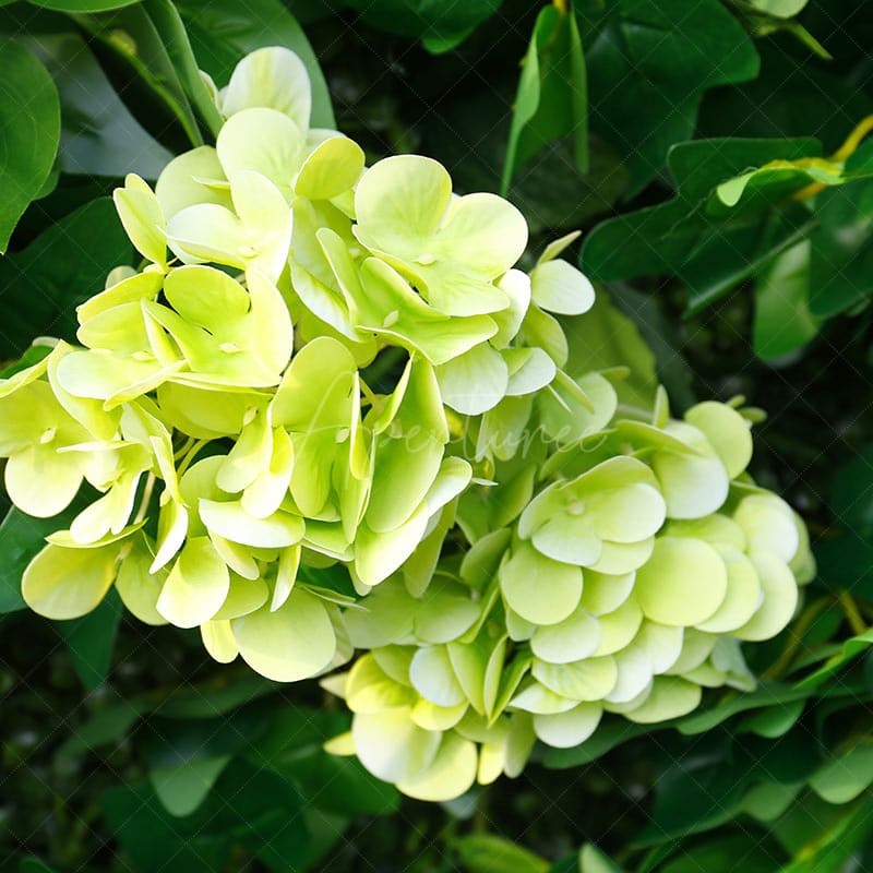 Aperturee - Aperturee Tropical Monstera Plant Artificial Floral Wall For Decor