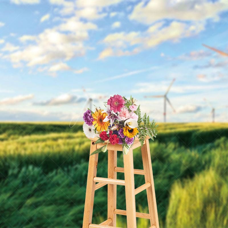 Aperturee - Aperturee Windmill Green Grassland Sky Photography Backdrop