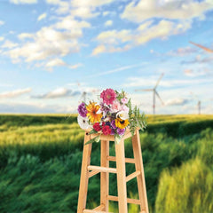 Aperturee - Aperturee Windmill Green Grassland Sky Photography Backdrop