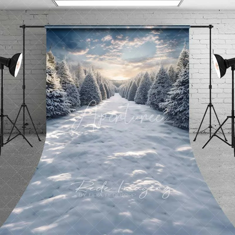 Aperturee - Aperturee Winter Forest Path Sweep Backdrop Snowy Pine Trees Sunset Sky Nature Floor Photo Background