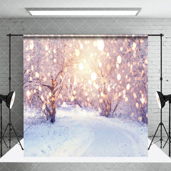 Aperturee - Aperturee Winter Heavy Snowy Light Bokeh Room Set Backdrop