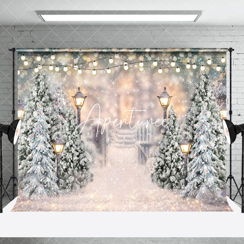 Aperturee - Aperturee Winter Light Bokeh Snowy Garden Room Set Backdrop
