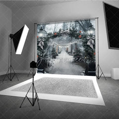 Aperturee - Aperturee Winter Park Christmas Backdrop Street Lamp Grey Bow Light Tunnel Background Snowy Path Holiday Party Decoration