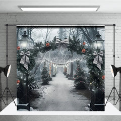 Aperturee - Aperturee Winter Park Christmas Backdrop Street Lamp Grey Bow Light Tunnel Background Snowy Path Holiday Party Decoration