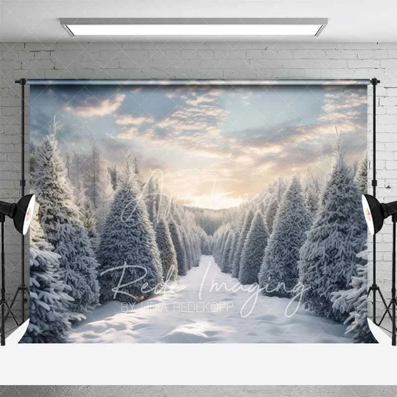 Aperturee - Aperturee Winter Wonderland Backdrop Snowy Pine Forest Path Sunset Sky Nature Photo Background
