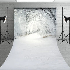 Aperturee - Aperturee Winter Wonderland Snowy Forest Backdrop White Frost Trees Snow Path Nature Christmas Photography Background