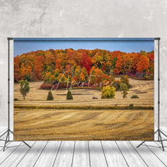 Aperturee - Autumn Forest Colorful Natural Landscape Backdrop