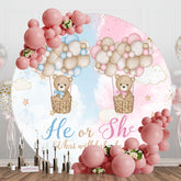 Aperturee - Bears Hot Air Balloon Round Gender Reveal Backdrop