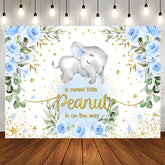 Aperturee - Blue Peanut Floral Baby Shower Backdrop for Boy