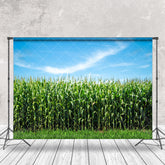 Aperturee - Blue Sky Green Cornfield Summer Backdrop For Photo