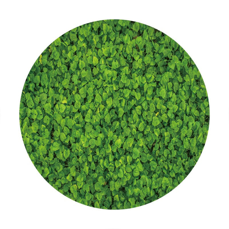 Aperturee - Circle Green Leaves Birthday Backdrop For Party