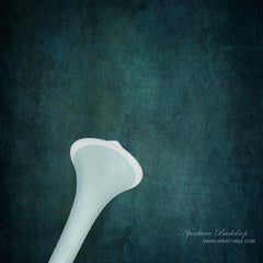Aperturee - Dark Tidewater Green Theme Photo Backdrop For Photography