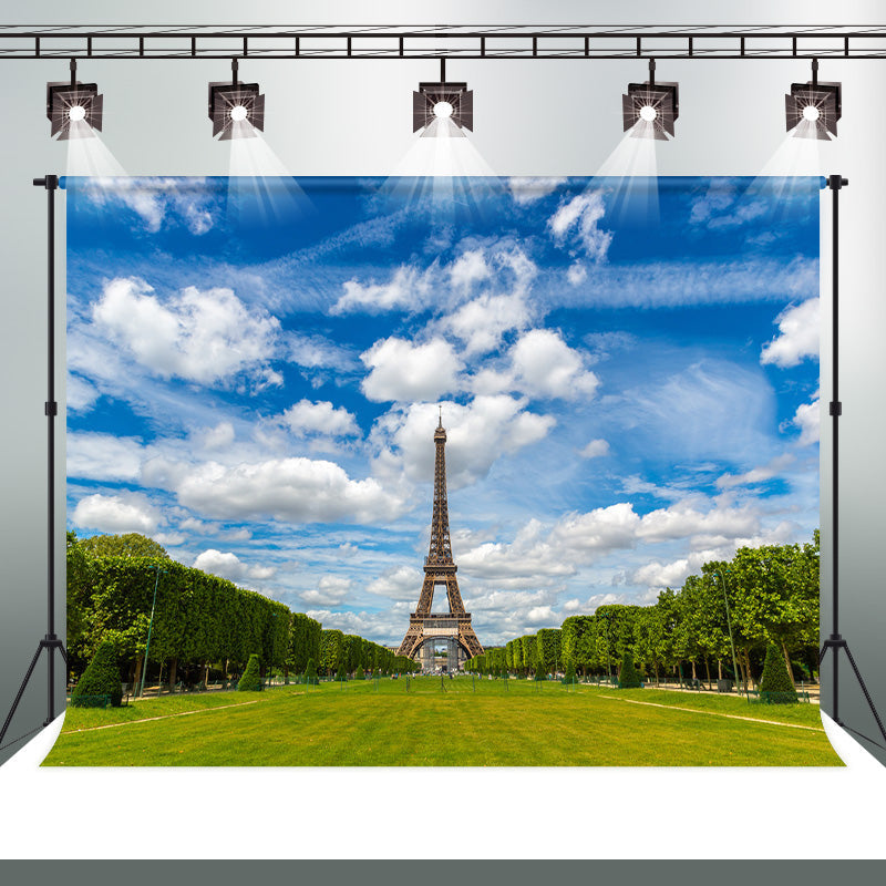 Aperturee - Eiffel Tower Blue Sky Grass Scenery Stage Backdrop