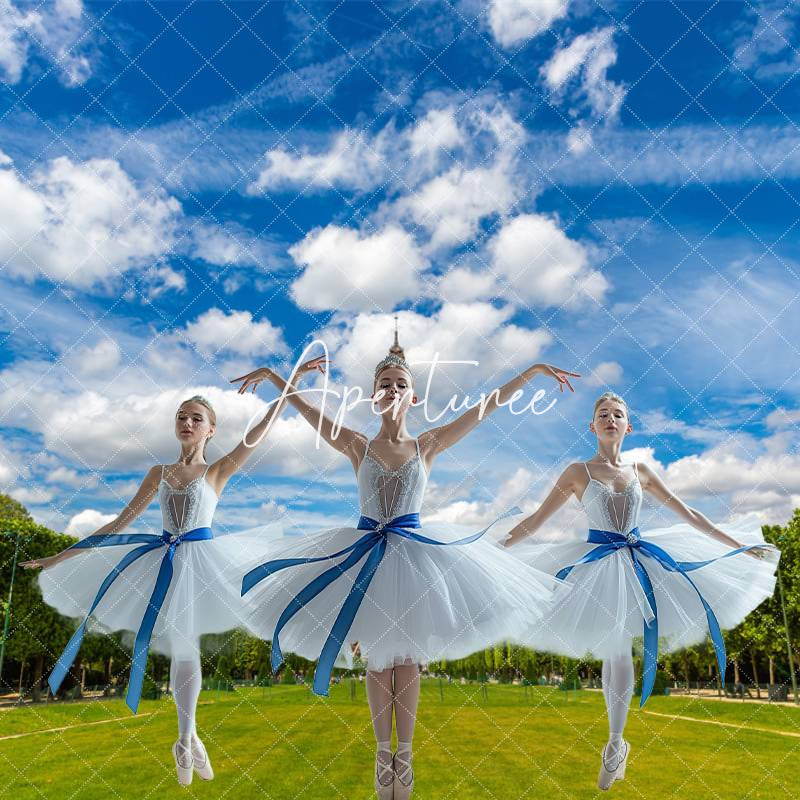 Aperturee - Eiffel Tower Blue Sky Grass Scenery Stage Backdrop