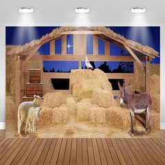Aperturee - Farm Haystack Donkey Sheep Night Christmas Backdrop