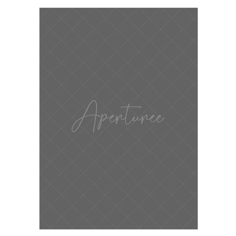 Aperturee - Fashion Simple Solid Gray Photo Studio Backdrop