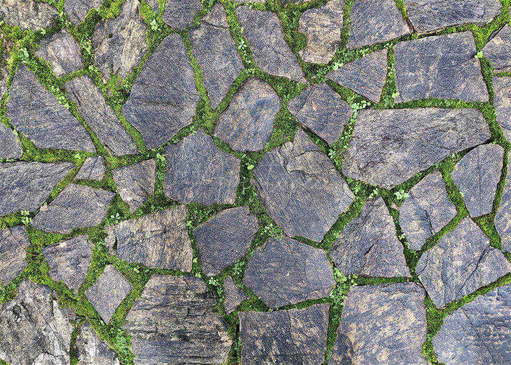 Aperturee - Stone Road With Green Grass Texture Rubber Floor Mat