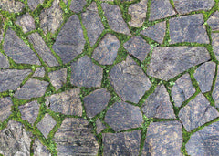 Aperturee - Stone Road With Green Grass Texture Rubber Floor Mat