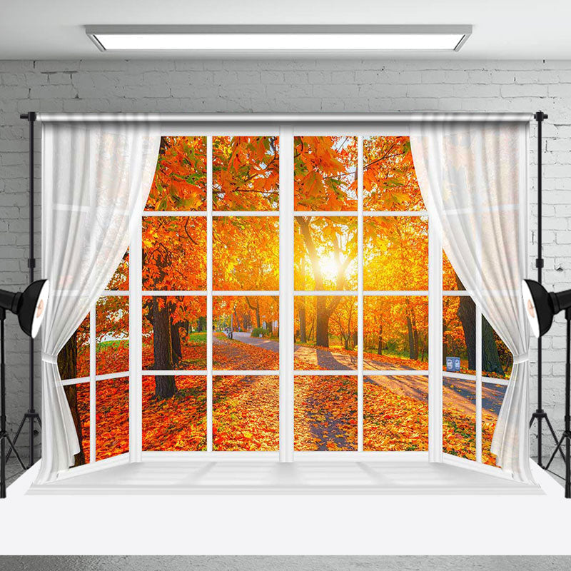 Aperturee - Maple Grove Sunlight Window Autumn Scenery Backdrop