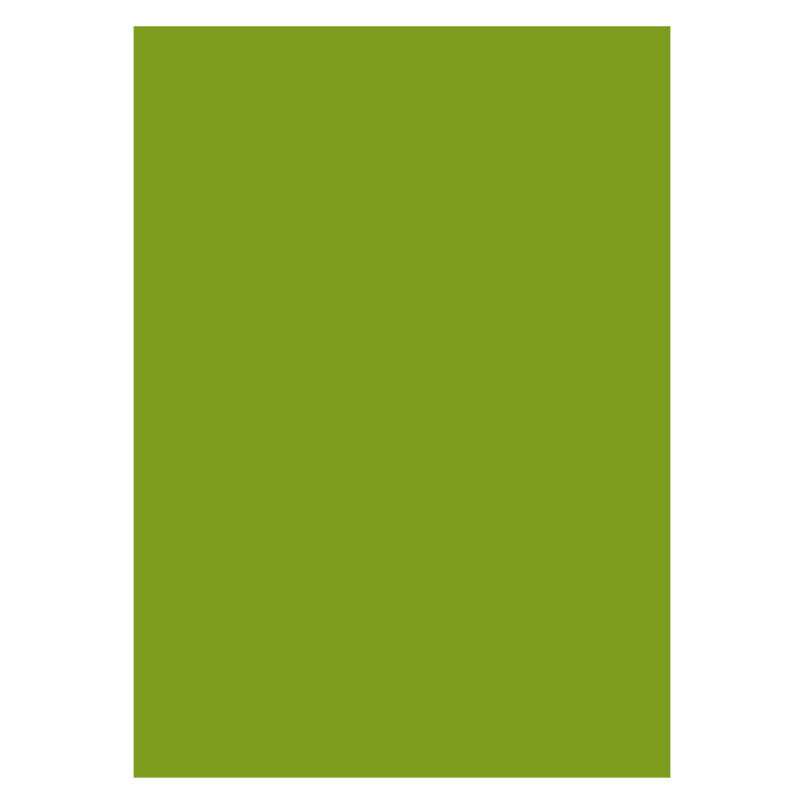 Aperturee - Olive Drab Solid Green Portrait Photo Backdrop