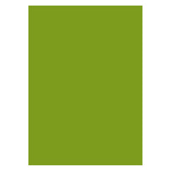 Aperturee - Olive Drab Solid Green Portrait Photo Backdrop