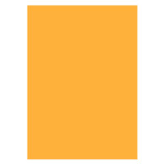 Aperturee - Orange Solid Color Portrait Photo Studio Backdrop