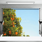 Aperturee - Orange Trees Under The Blue Sky Fruit Photo Backdrop