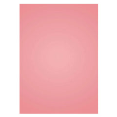 Aperturee - Peach Pink Baby Girl Shoot Studio Solid Backdrop