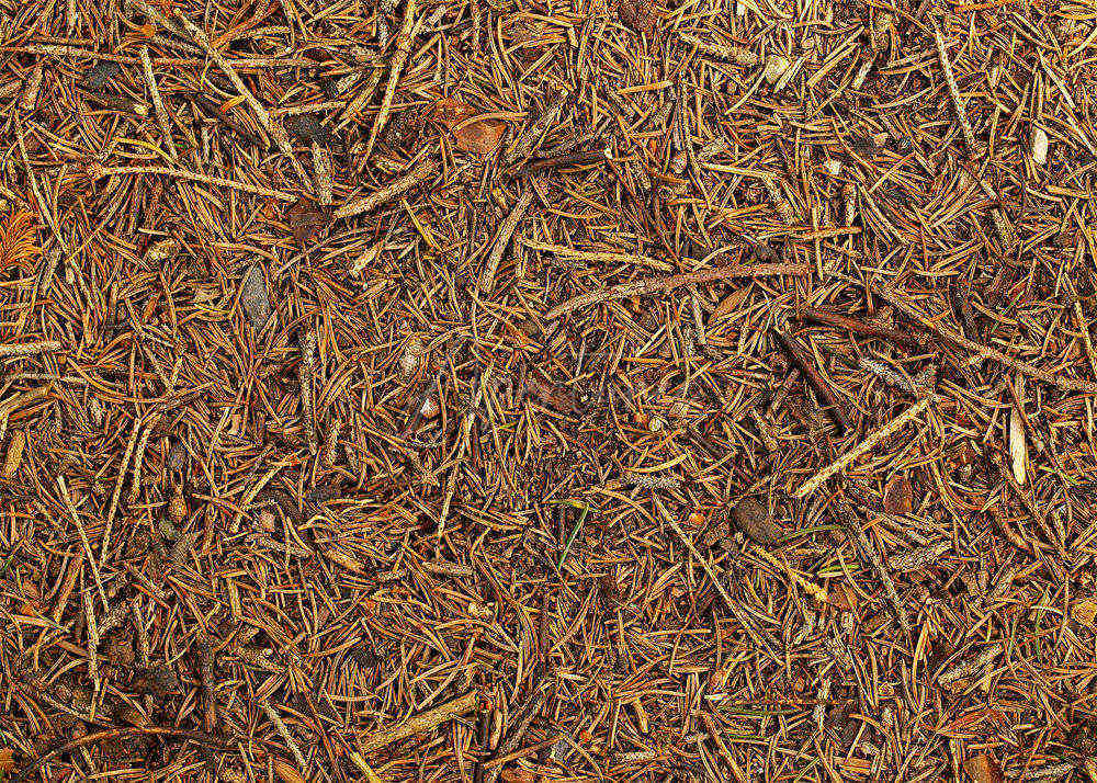Aperturee - Brown Sawdust Wood Rubber Floor Mats For Photography