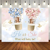 Aperturee - Pink Blue Cloud Bear Boho Gender Reveal Backdrop