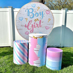 Aperturee - Pink Blue Heart Balloon Gender Reveal Round Backdrop Kit