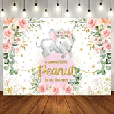 Aperturee - Pink Peanut Floral Baby Shower Backdrop for Girl
